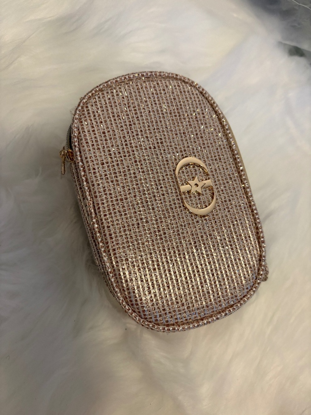 Dior Beauty Holiday 2025 Limited Edition Gold Cosmetic Case GWP